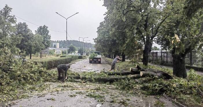 Поривите на вятъра по време на разразилата се вчера над Търговище