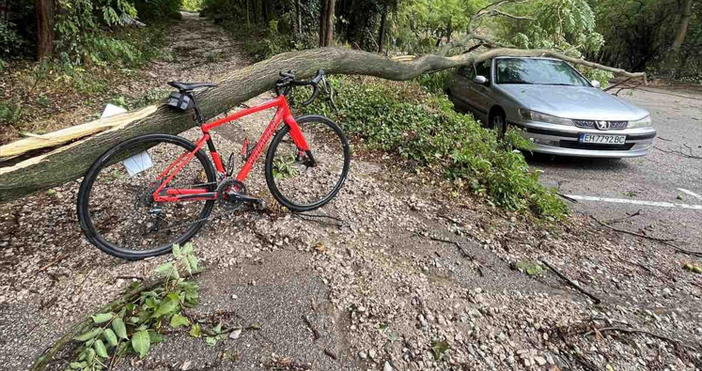 Бурята в Северозападна България вчера превърна в реки улиците на