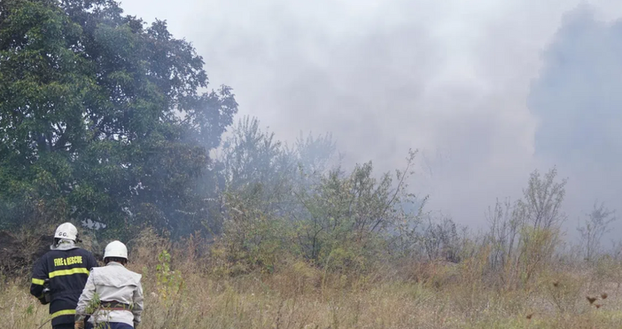 Пожарите започнаха да се връщат у нас Пожар избухна в местността Рупите