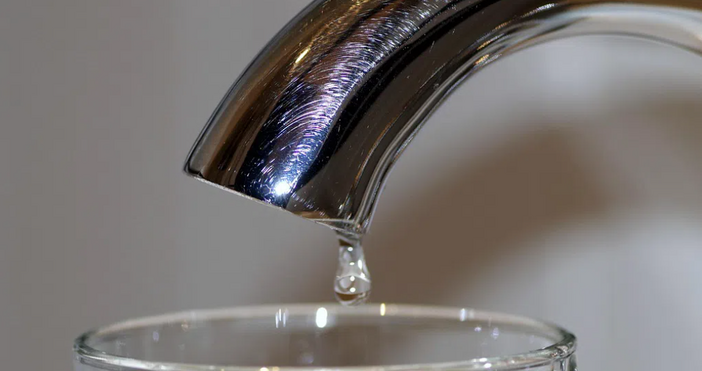 Петел следи какво се случва в наш град в който