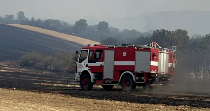 Огнеборците се справиха с възникалния по рано пожар Потушен е пожарът пламнал