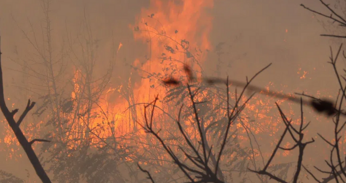 Нов пожар у нас в неделния ден Голям пожар гори в Старозагорското
