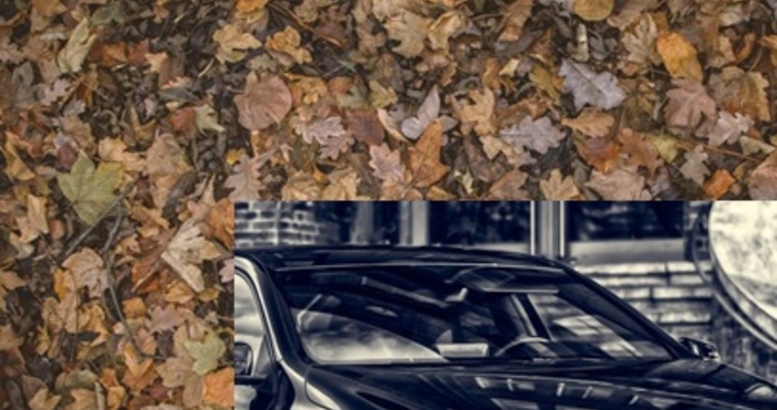 Есента е красив сезон но за шофьорите тя носи със