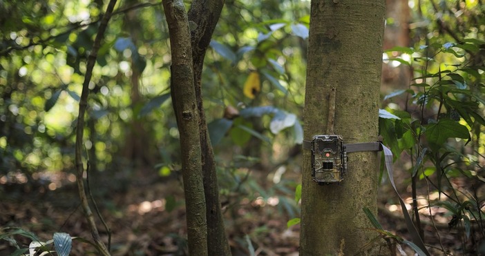 Регионалната инспекция по околната среда и водите РИСОВ – Смолян