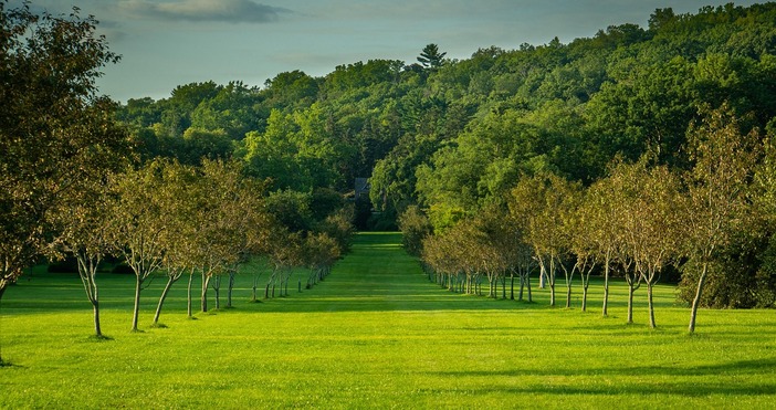 Държавен фонд Земеделие започва поетапното изплащане на помощи заради щетите