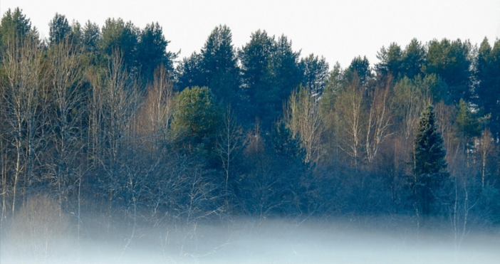 С амплитуда от 20 градуса ще са температурите в срядаПрез
