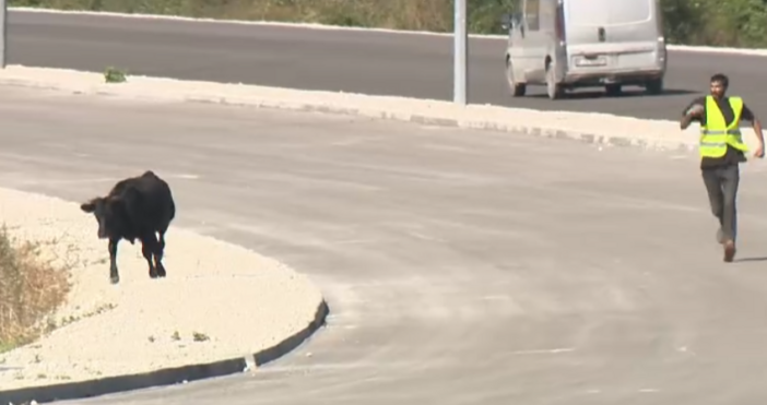 В репортажа си за проверката на регионалния министър Иван Иванов