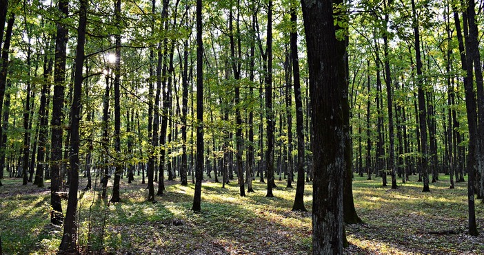 Слънчо си отива към екватора есента идва но типичната есен