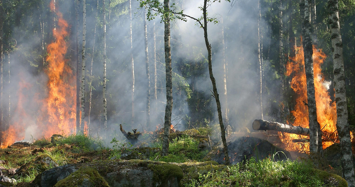 Испанското правителство определи горските пожари които опустошават страната този месец