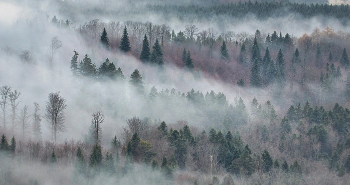 4 градуса е температурата рано сутринта в Драгоман От Националния институт