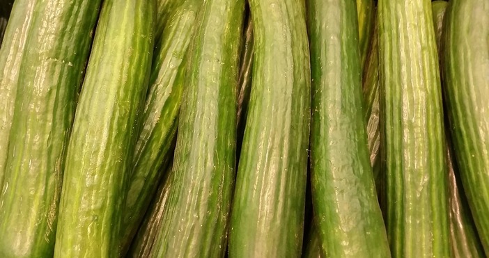 Спипаха крадец на 228 кг краставици в село Плодовитово съобщиха