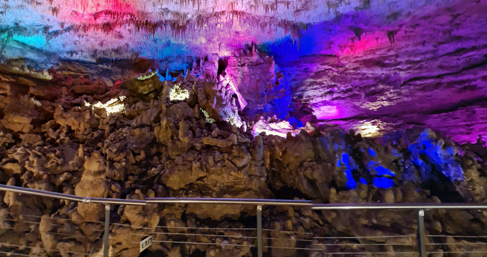 Кметът на община Шумен проф Христо Христов декларира в писмо