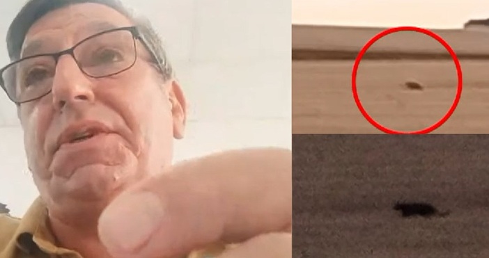 На 25 август беше подаден сигнал че е забелязан леопард