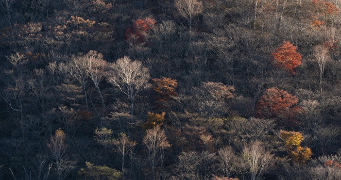 От днес до събота включително температурите ще бъдат високи до