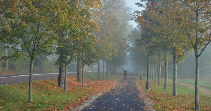 Синоптикът прогнозира рязко понижение на температуритеВисоки летни температури до 33 38 градуса в