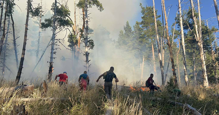 Снимки Югозападно държавно предприятиеПожар гори в труднодостъпен терен над село