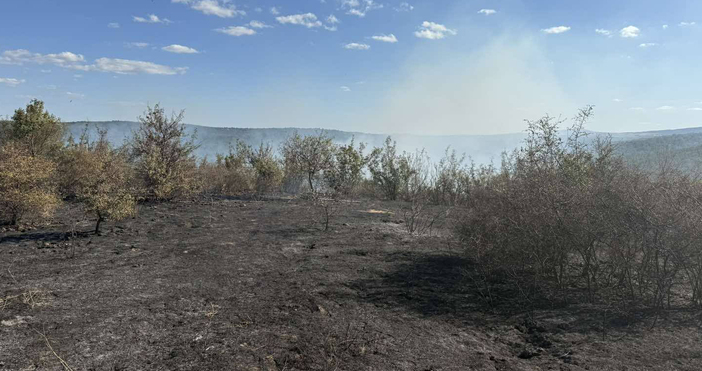 Снимки Община ТополовградПожар избухна днес в землището на тополовградското село