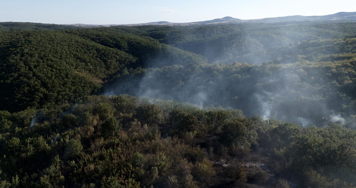 Пожарът който избухна по рано днес в землището на тополовградското село