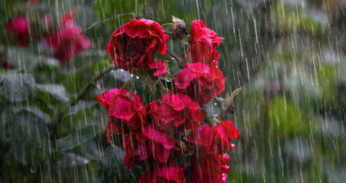 След прохладната сутрин в петък ще е слънчево и приветливо