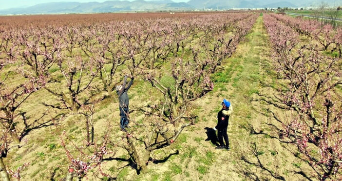 Държавен фонд Земеделие ДФЗ оторизира още 6 8 млн лева 6