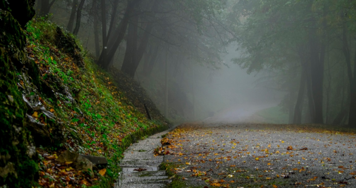 Септември ще е идеален за море Това показват дългосрочните прогнози