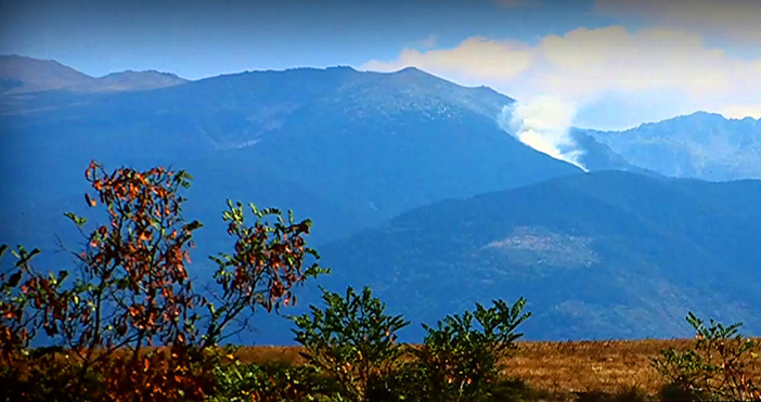 Мая Иванова Кадър Нова ТВДесетки се надяват на природата която