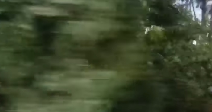 В Кюстендил са подадени над 20 сигнала за поражения от