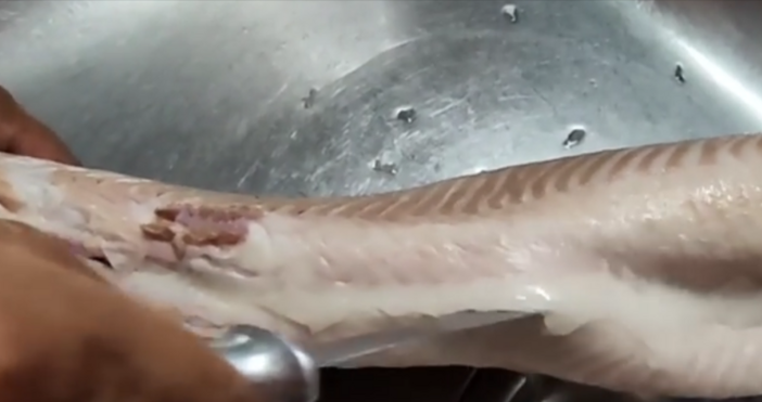 На пазара в Каварна може да се намери много добра