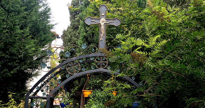 Мая Иванова Снимка Петел БГНова година настъпва на 1 януари но