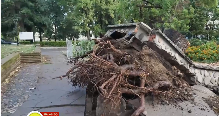 кадри Нова твМощна буря премина през Кюстендил Стихията удари града