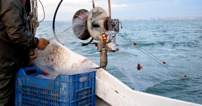 Рибарите на юг от Бургас ловят само сафрид и попчета Лефер