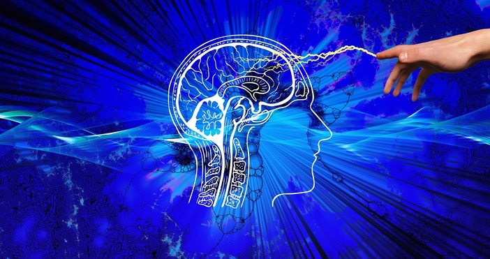 Учени за първи път успяха да преведат в реално време