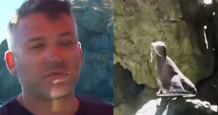 Мая Иванова Кадри Нова ТВЗдравко Василев от Приморско по познат