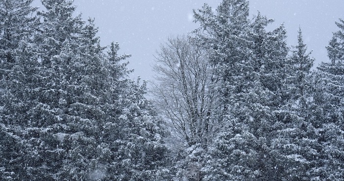Това лято беше белязано от горещи вълни с изключително високи