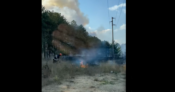 Кадри Фейсбук Виждам те КАТ Варна Д ГрудоваСухи треви