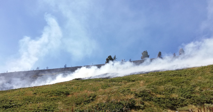 Снимки Национален парк Рила Над 50 души служители на Национален