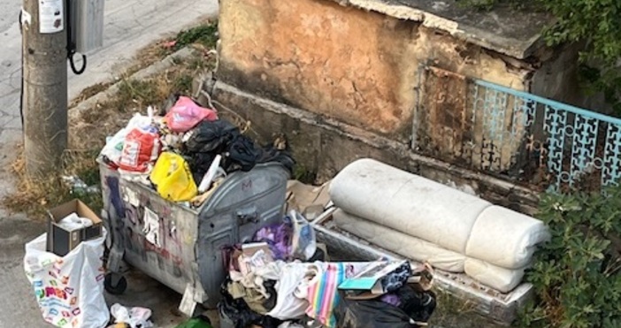 За кошмарни смрад и мръсотия алармират жители от ул Стоян