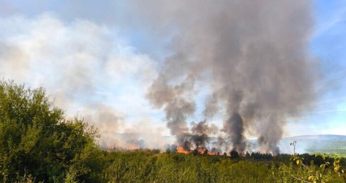Пет пожара бушуват в обхвата на Югозападното държавно предприятие към