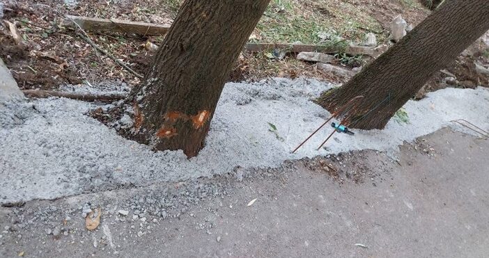 Глоба в максимален размер от 5 000 лв и предписание