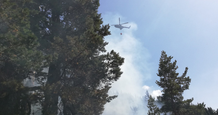 Към момента площта на пожара в Национален парк Рила е