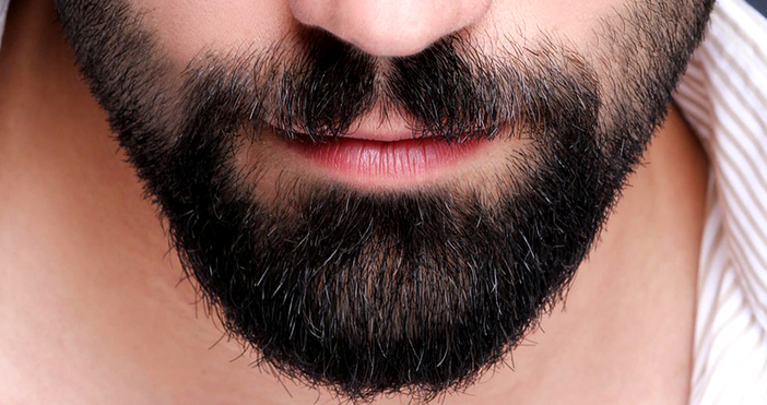 Мая Иванова Снимка pixabay comДнес е Световният ден на брадата Този