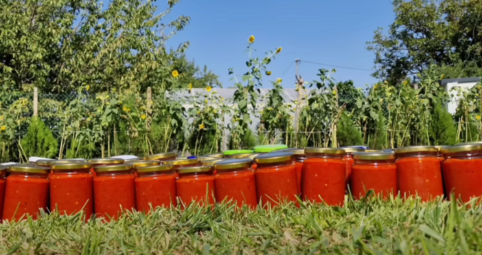 Сезонът на домашната зимнима е тук А едно от най хубавите