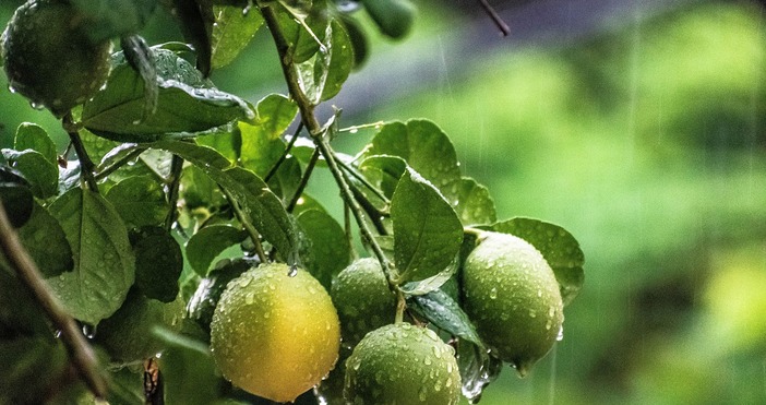 Черноморието запазва летни температури до 29 градусаПрез следващите дни до