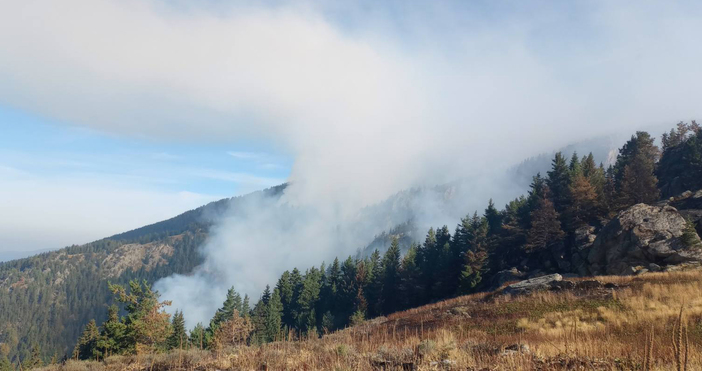 Западният фронт на пожара в Национален парк Рила е овладян