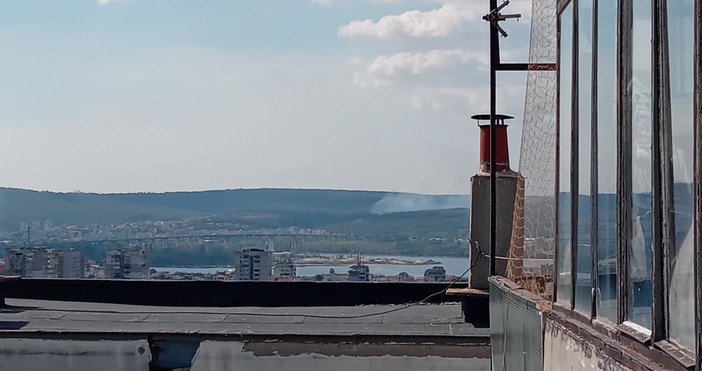 Около 50 дка гора в местността Джанавара над квартал Аспарухово