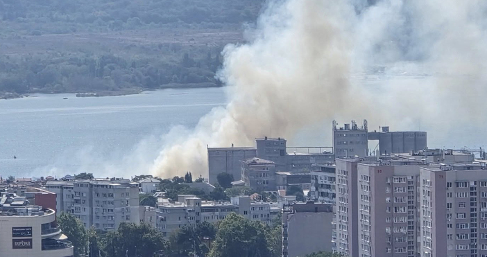 Пожар в сухи треви е възникнал на улица Девня във