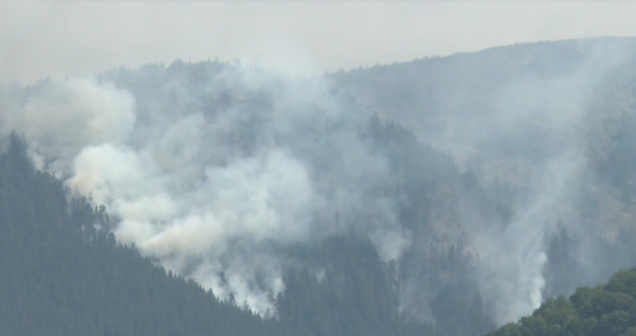 Дванадесети ден продължава гасенето на пожара в Национален парк Рила  От