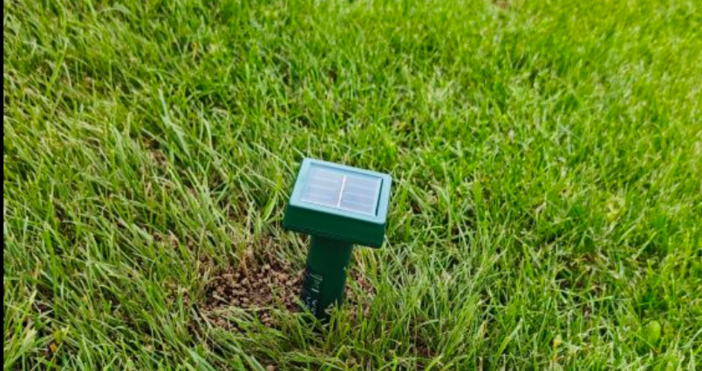 Къртиците са сериозен проблем за всеки градинар Ето какво споделя препатил