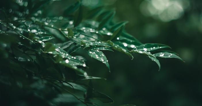 Валежи до четвъртък няма да има след това ще повали