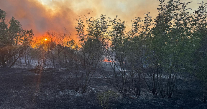 Снимки Областна администрация ХасковоЗаради силния вятър се разрасна пожарът в